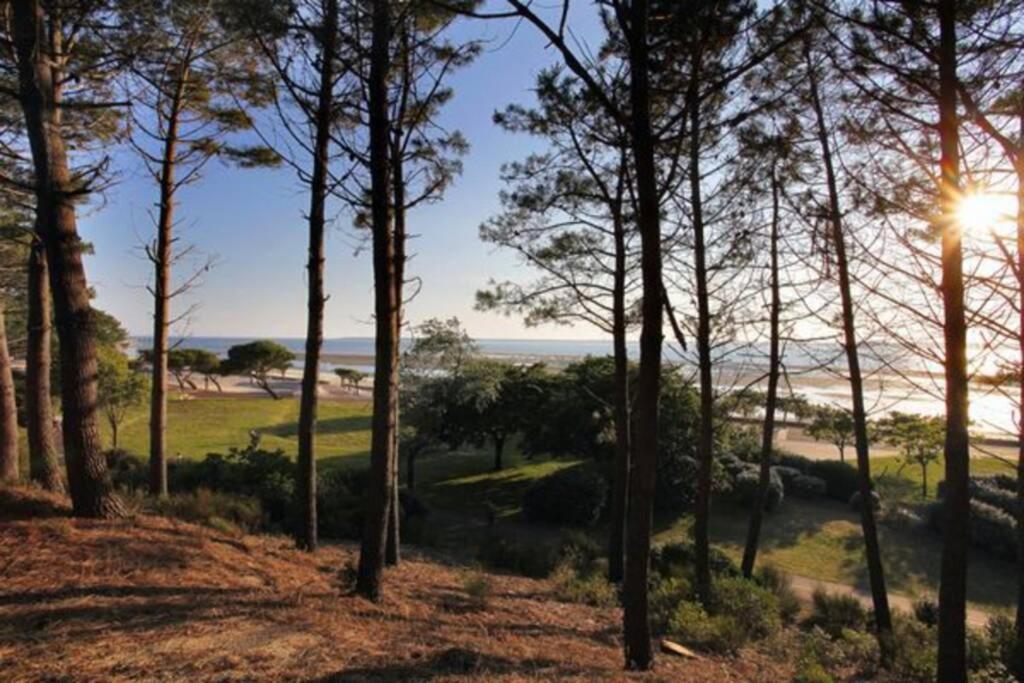Appart Sur La Plage Pied Dans L Eau Avec Terrasse Jardin Vue Sur Le Bassin Depuis La Terrasse , Parking Arcachon Bagian luar foto