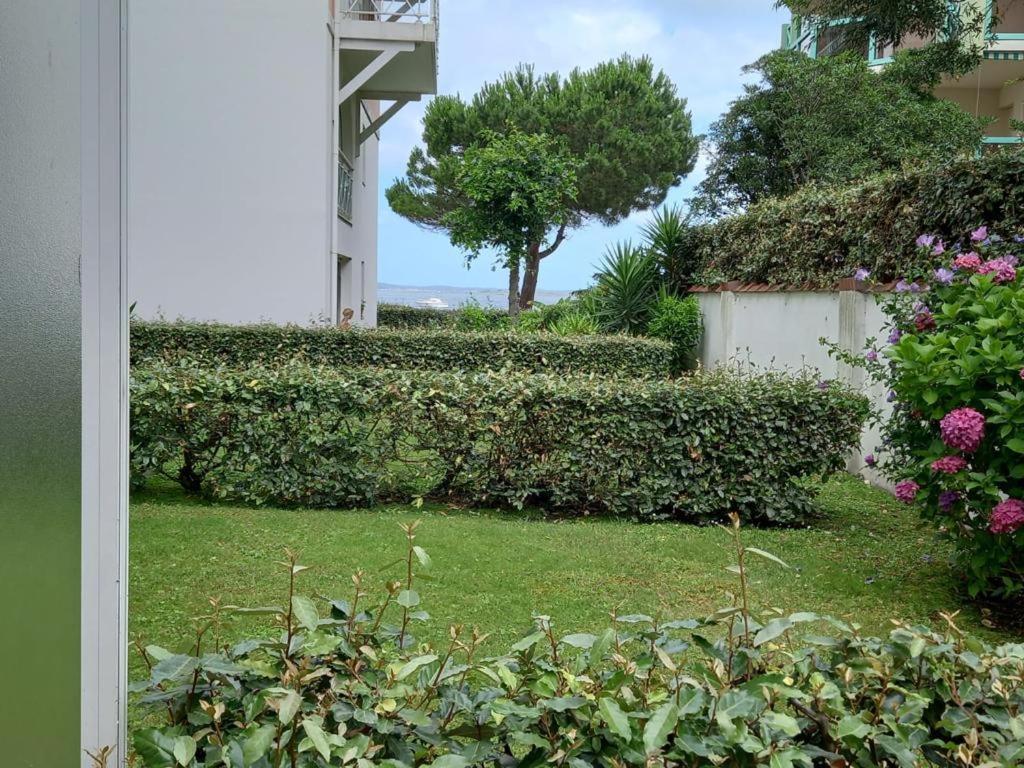 Appart Sur La Plage Pied Dans L Eau Avec Terrasse Jardin Vue Sur Le Bassin Depuis La Terrasse , Parking Arcachon Bagian luar foto