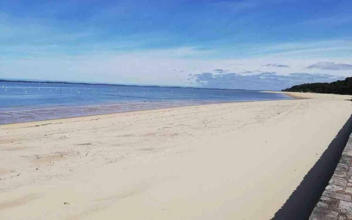 Appart Sur La Plage Pied Dans L Eau Avec Terrasse Jardin Vue Sur Le Bassin Depuis La Terrasse , Parking Arcachon Bagian luar foto